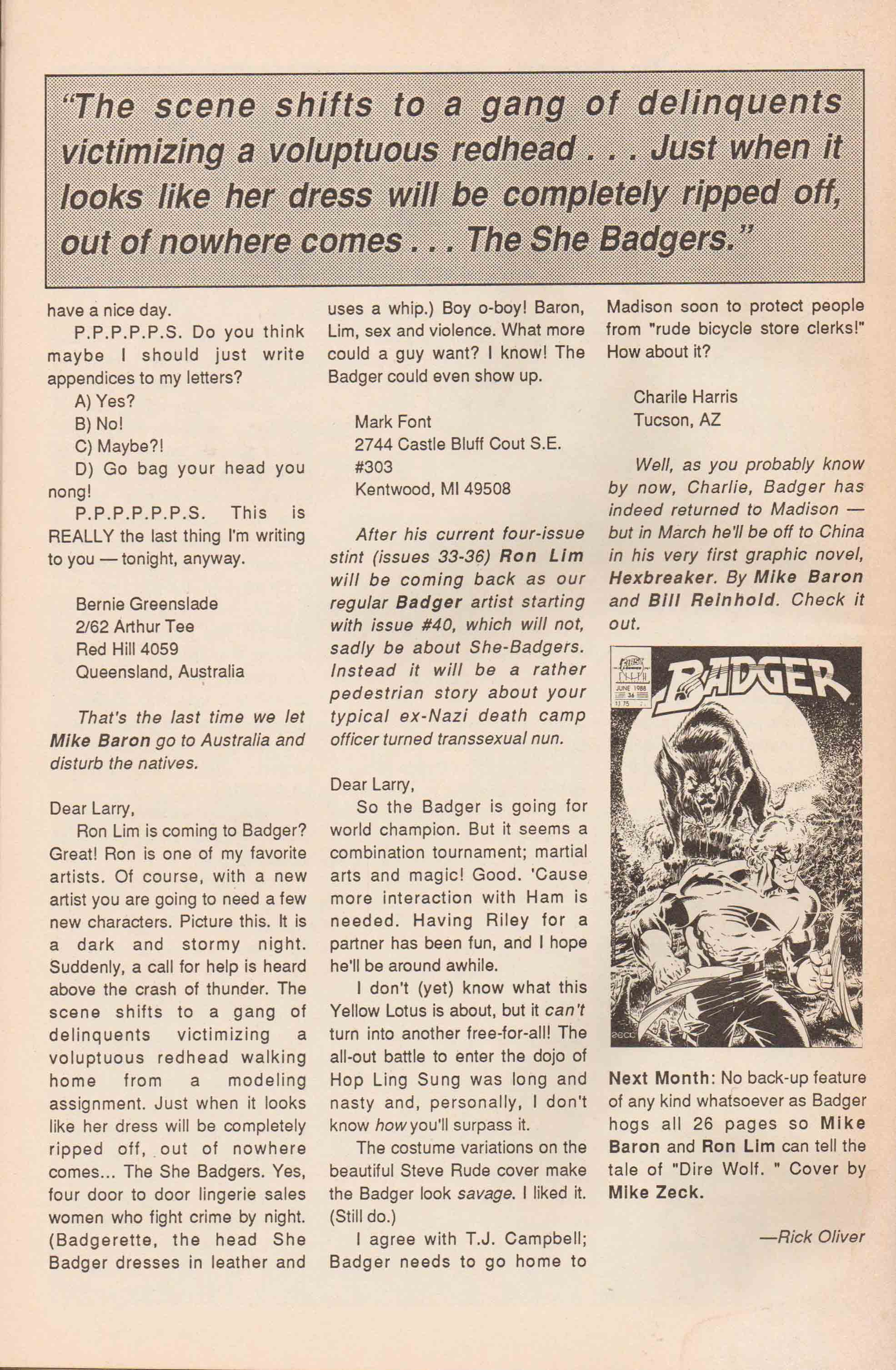 Read online The Badger comic -  Issue #35 - 34