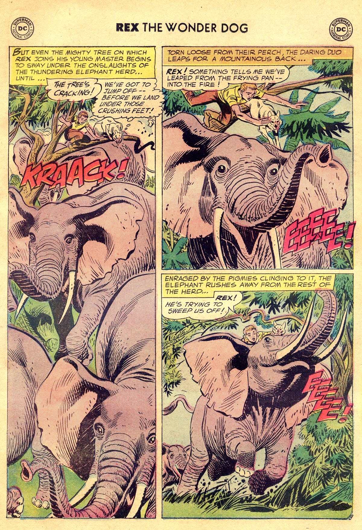 Read online The Adventures of Rex the Wonder Dog comic -  Issue #34 - 11