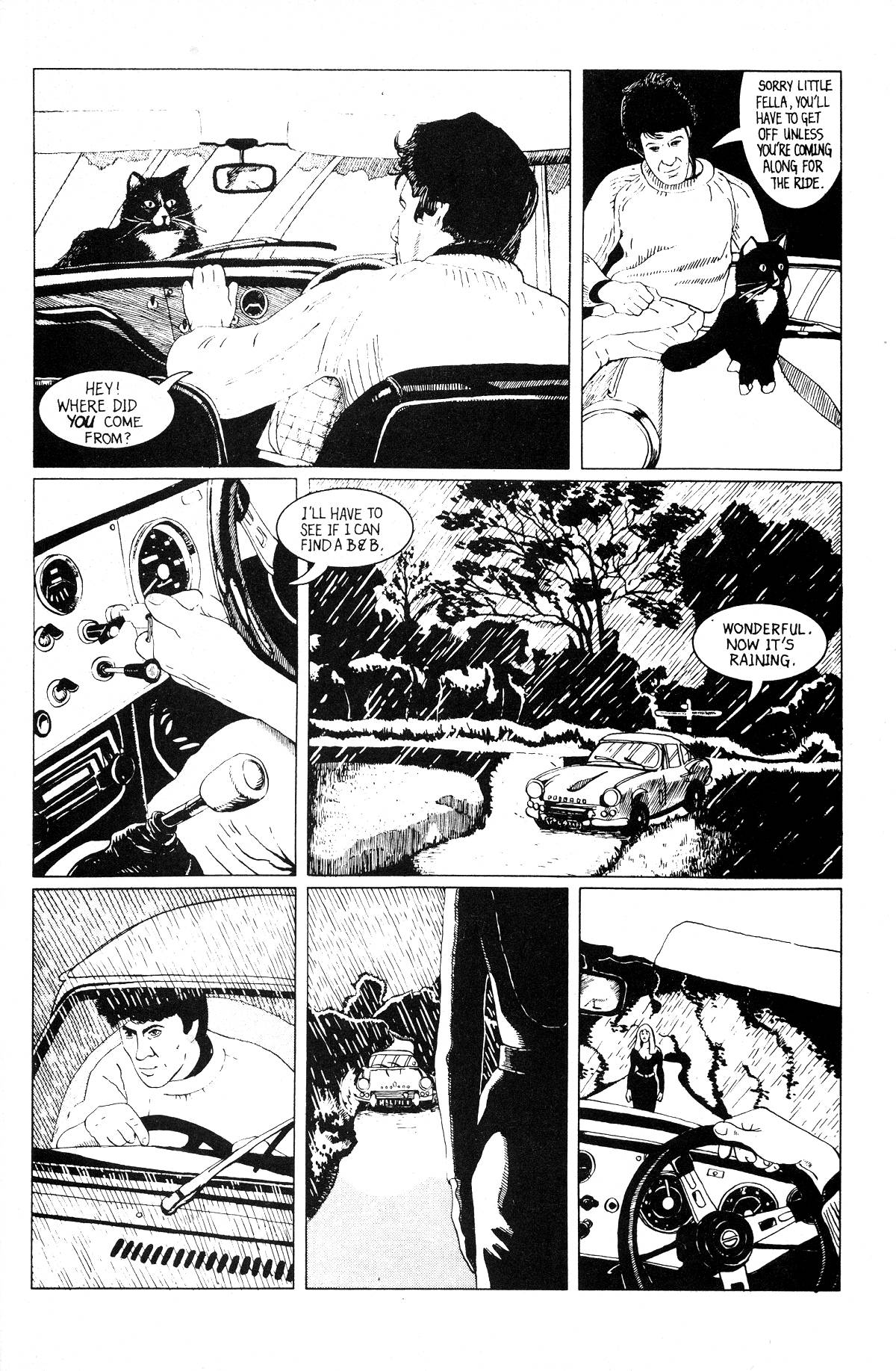 Read online Cerebus comic -  Issue #198 - 33