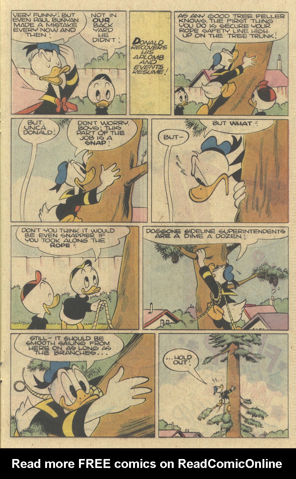 Read online Walt Disney's Donald Duck (1952) comic -  Issue #271 - 17