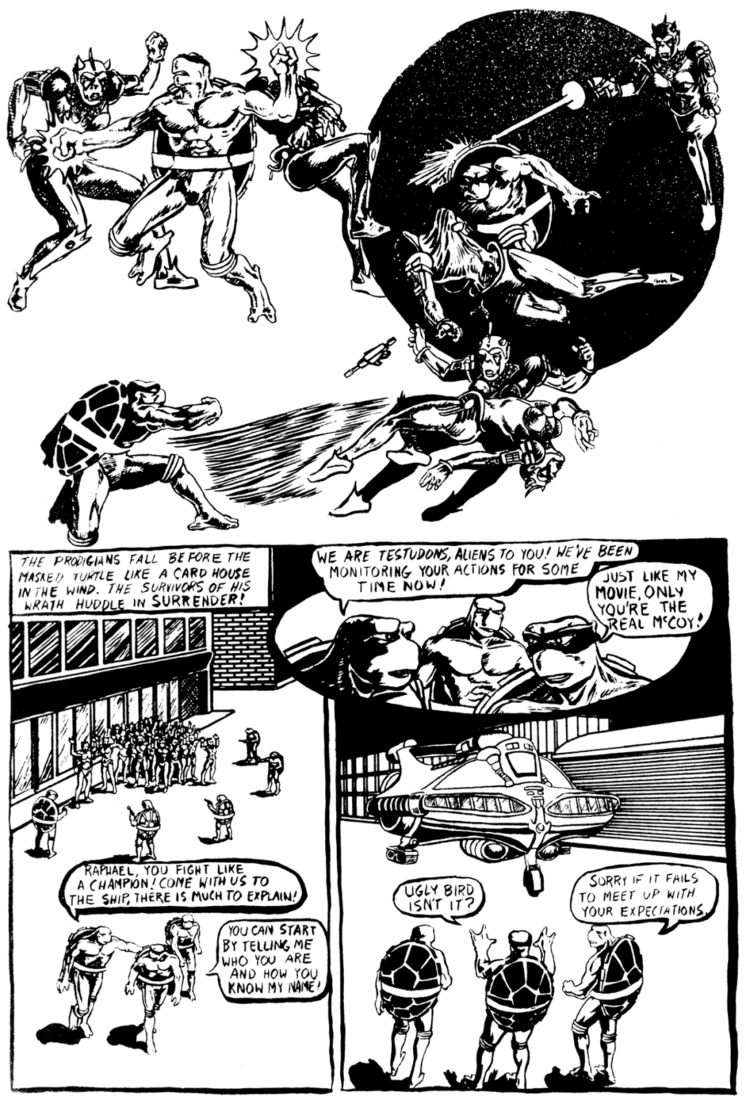 Turtle Soup (1987) issue Full - Page 66