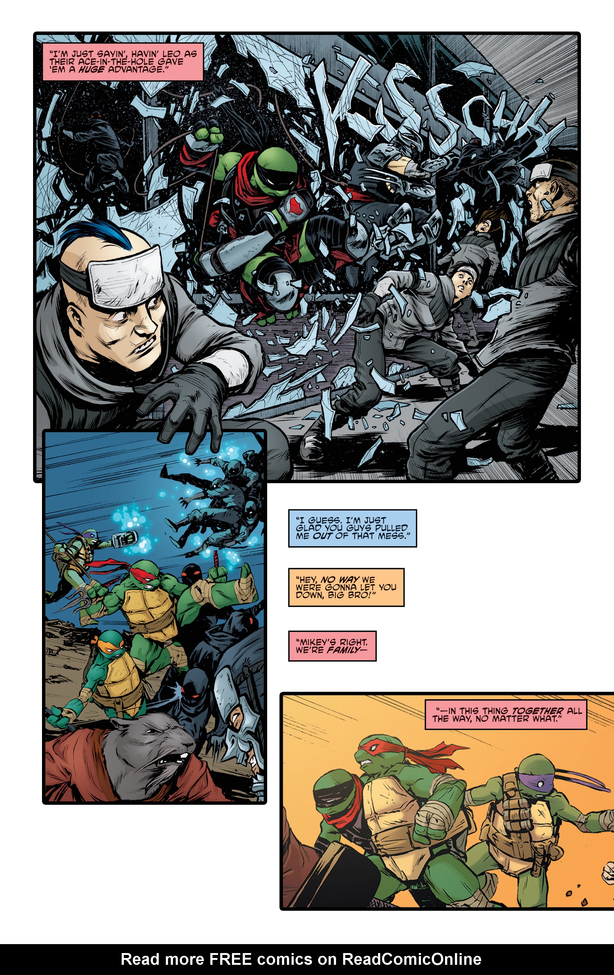 Read online Free Comic Book Day 2015 comic -  Issue # Teenage Mutant Ninja Turtles - Prelude to Vengeance - 9