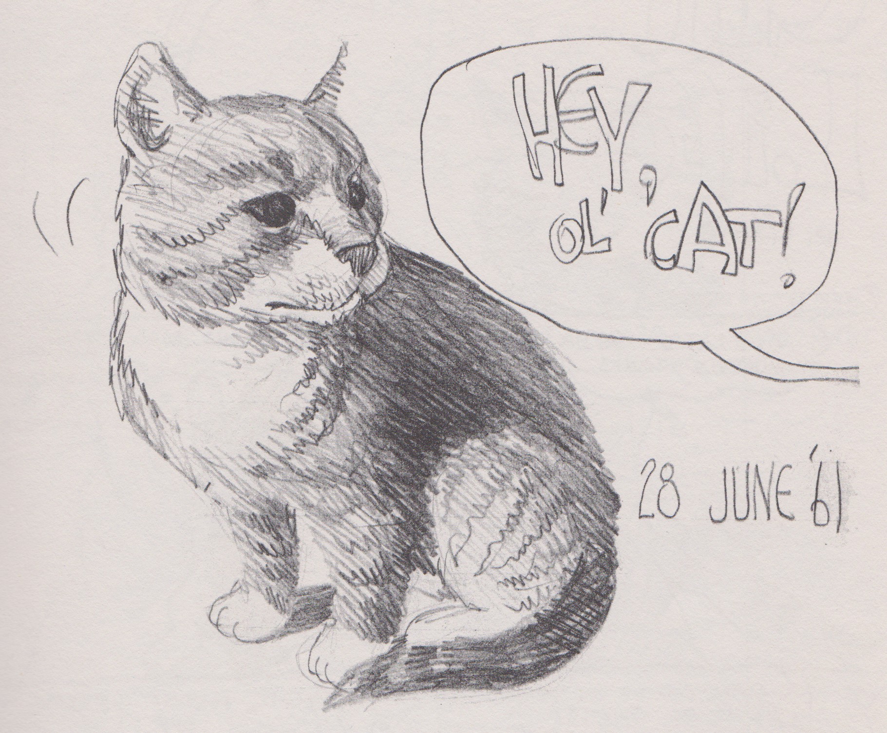 Read online The Complete Fritz the Cat comic -  Issue # Full - 6