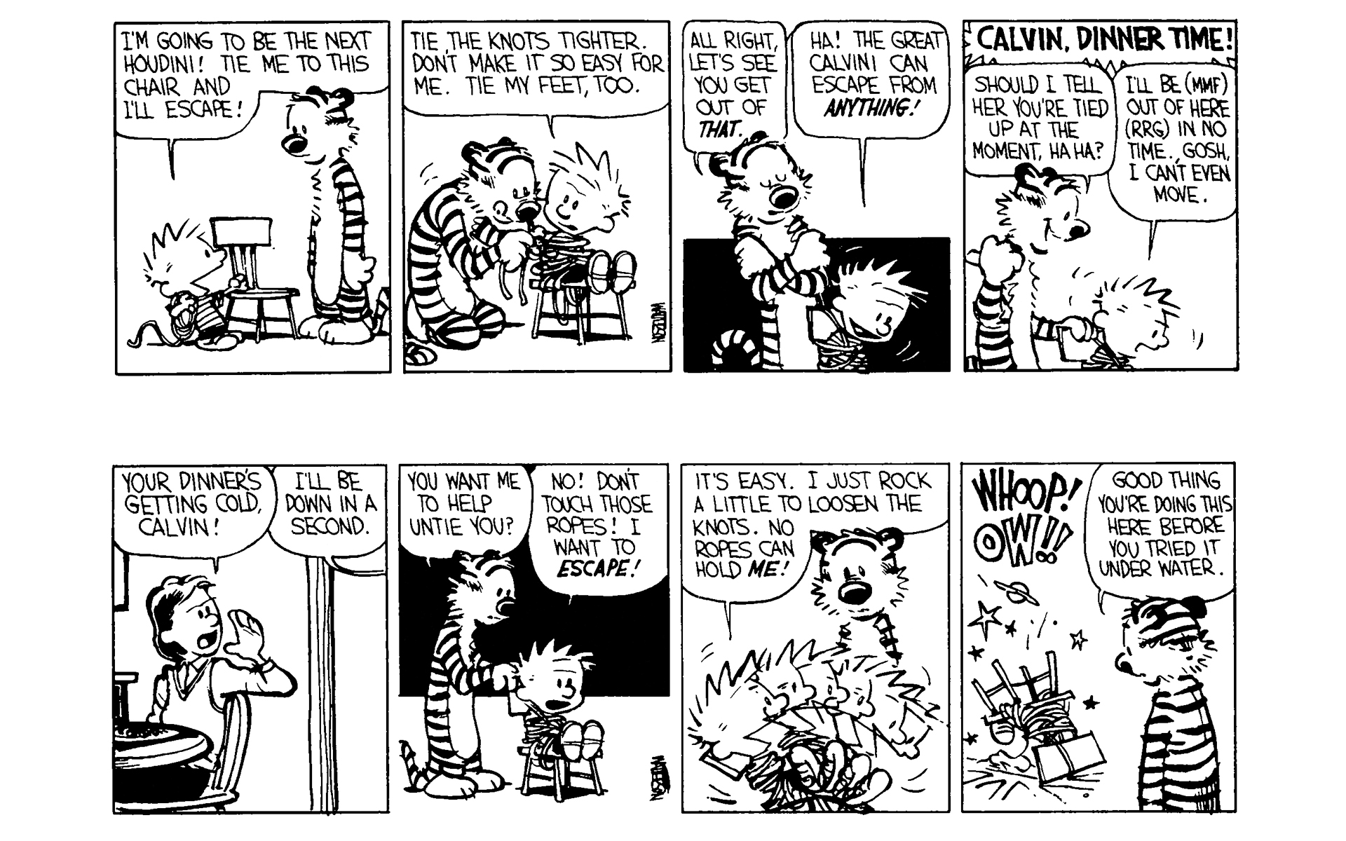 Read online Calvin and Hobbes comic -  Issue #3 - 115