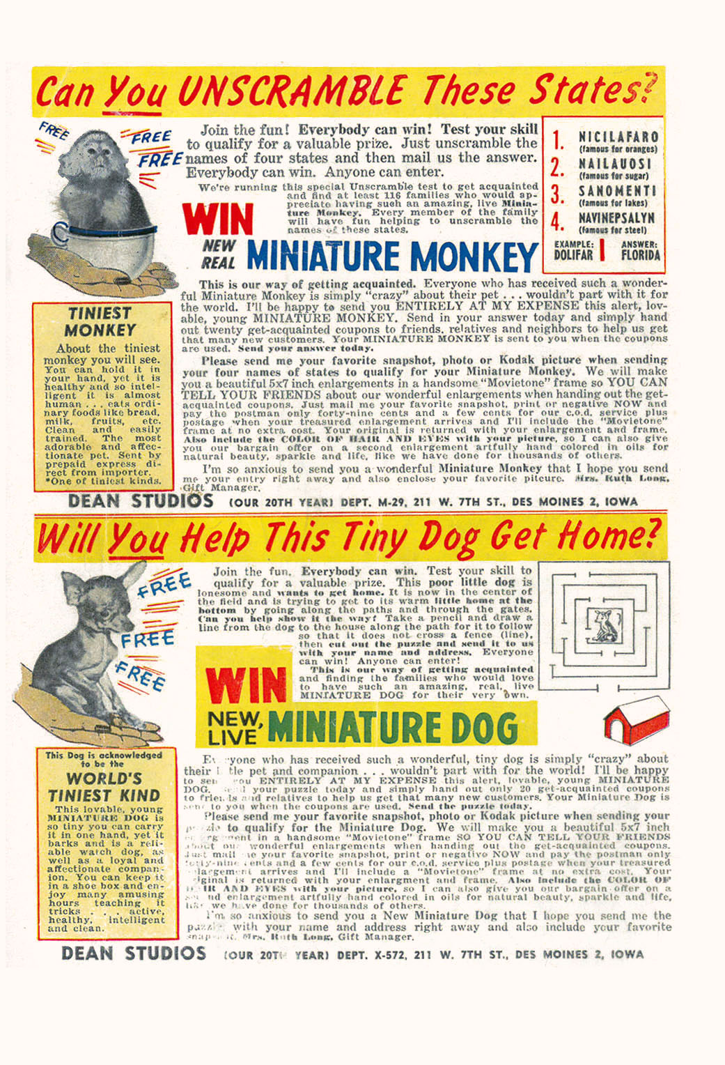 Read online Pat the Brat comic -  Issue #28 - 35