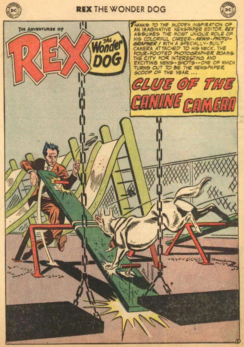 Read online The Adventures of Rex the Wonder Dog comic -  Issue #21 - 25
