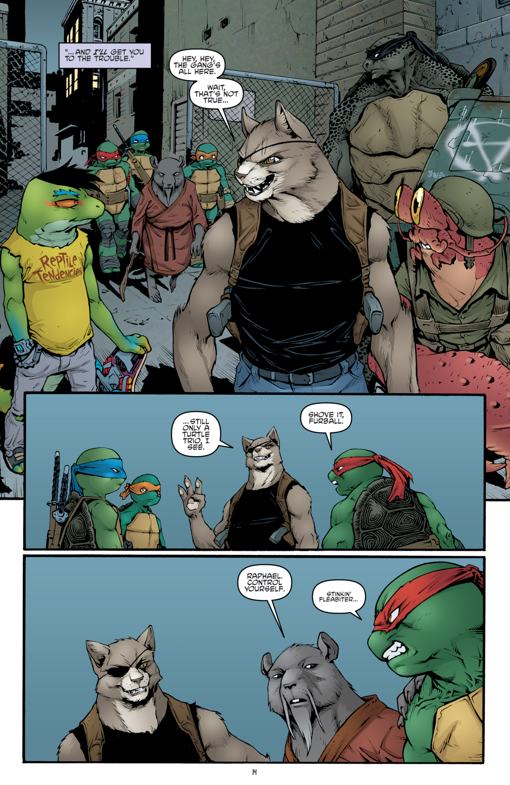 Read online Teenage Mutant Ninja Turtles (2011) comic -  Issue #39 - 16