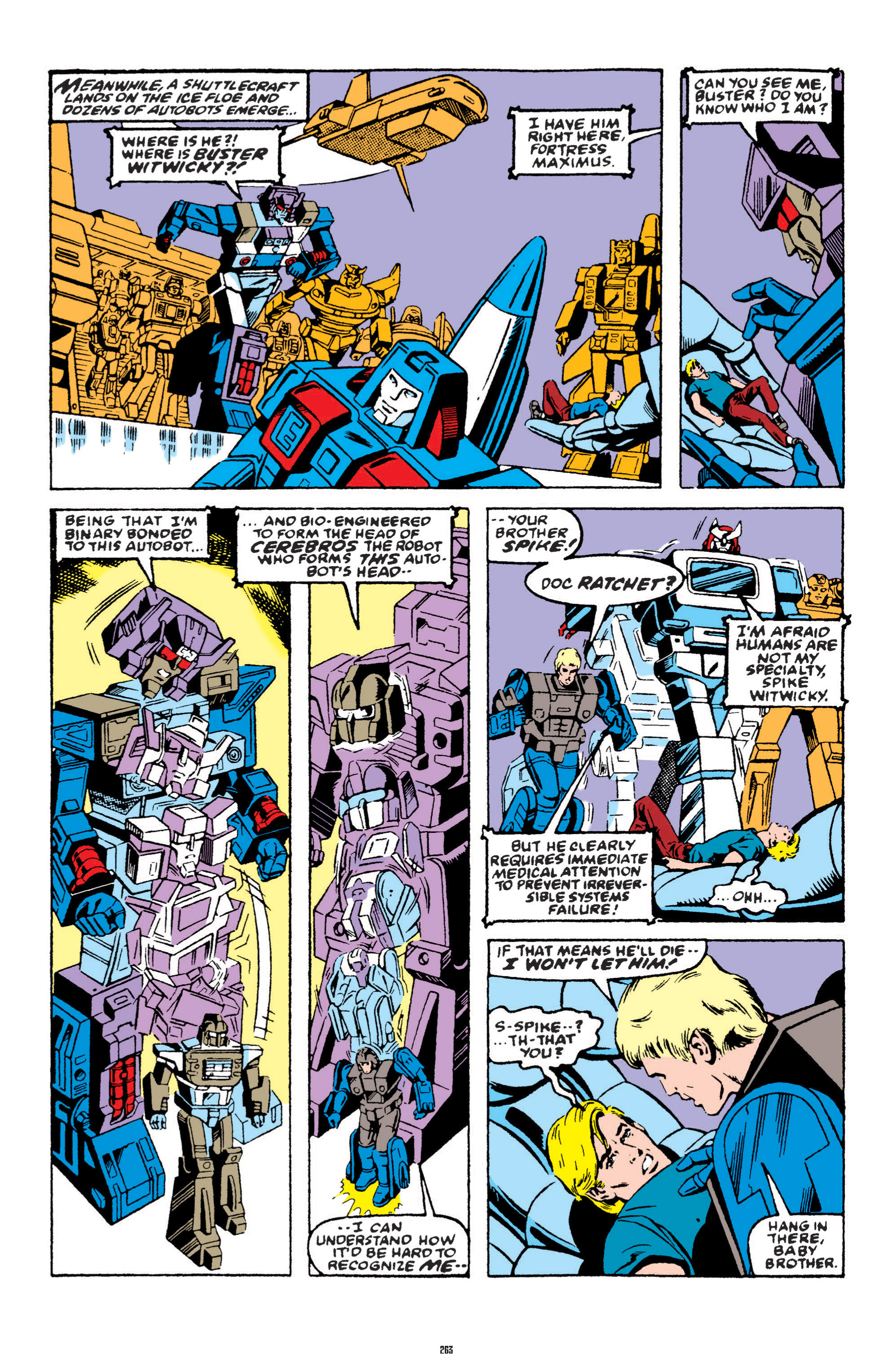 Read online The Transformers Classics comic -  Issue # TPB 4 - 264