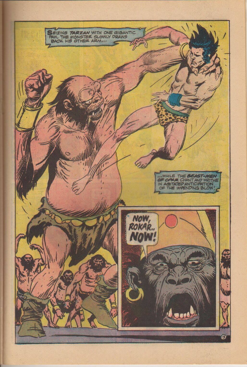 Read online Tarzan (1972) comic -  Issue #224 - 14
