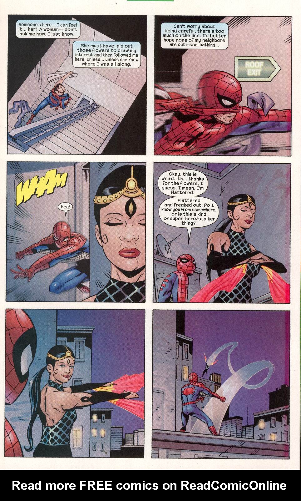 Read online Peter Parker: Spider-Man comic -  Issue #48 - 20