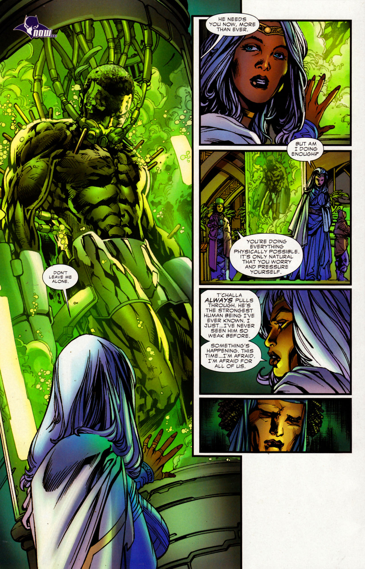 Read online Black Panther (2009) comic -  Issue #2 - 32