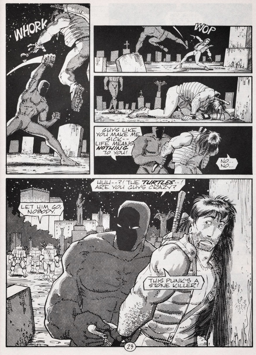 Teenage Mutant Ninja Turtles (1984) Issue #48 #48 - English 23