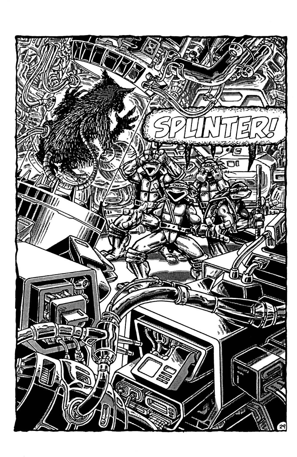 Teenage Mutant Ninja Turtles (1984) Issue #4 #4 - English 29