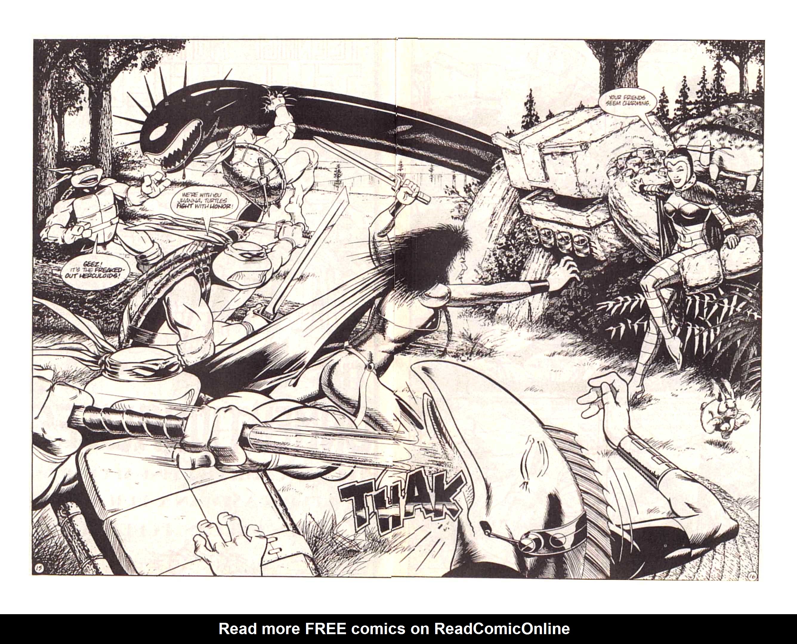 Teenage Mutant Ninja Turtles (1984) Issue #13 #13 - English 19