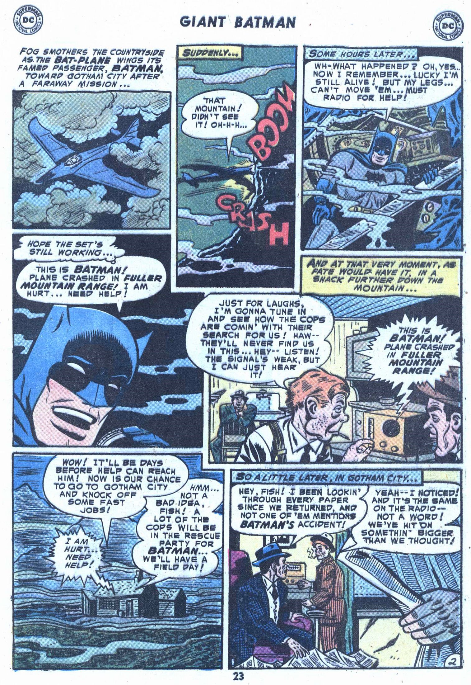 Read online Batman (1940) comic -  Issue #228 - 25