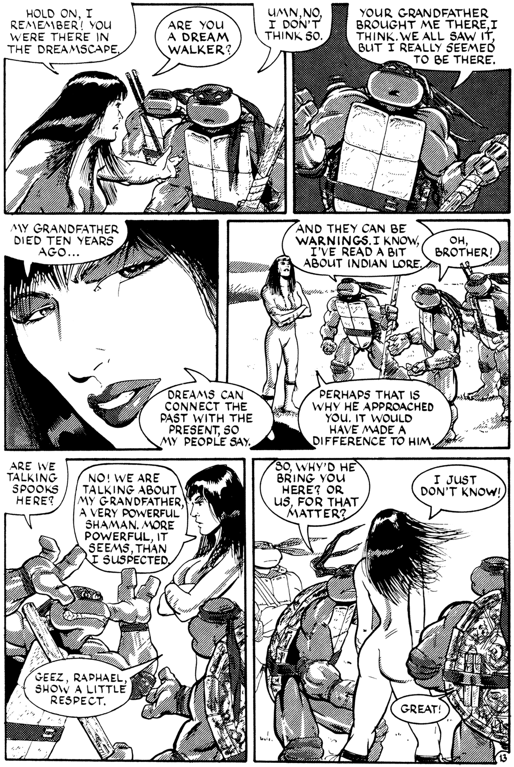 Teenage Mutant Ninja Turtles (1984) Issue #27 #27 - English 13