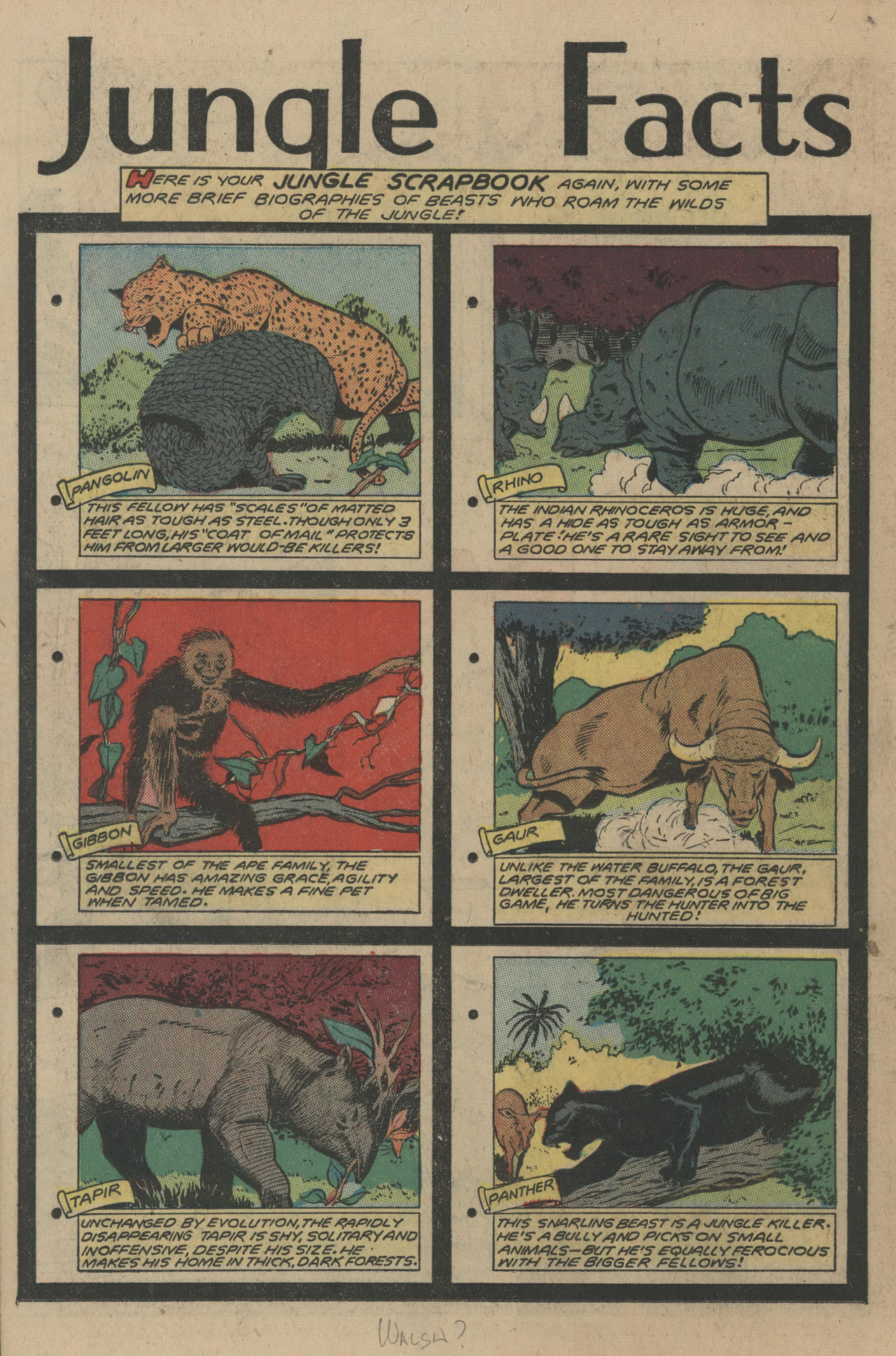 Read online Jungle Comics comic -  Issue #106 - 26