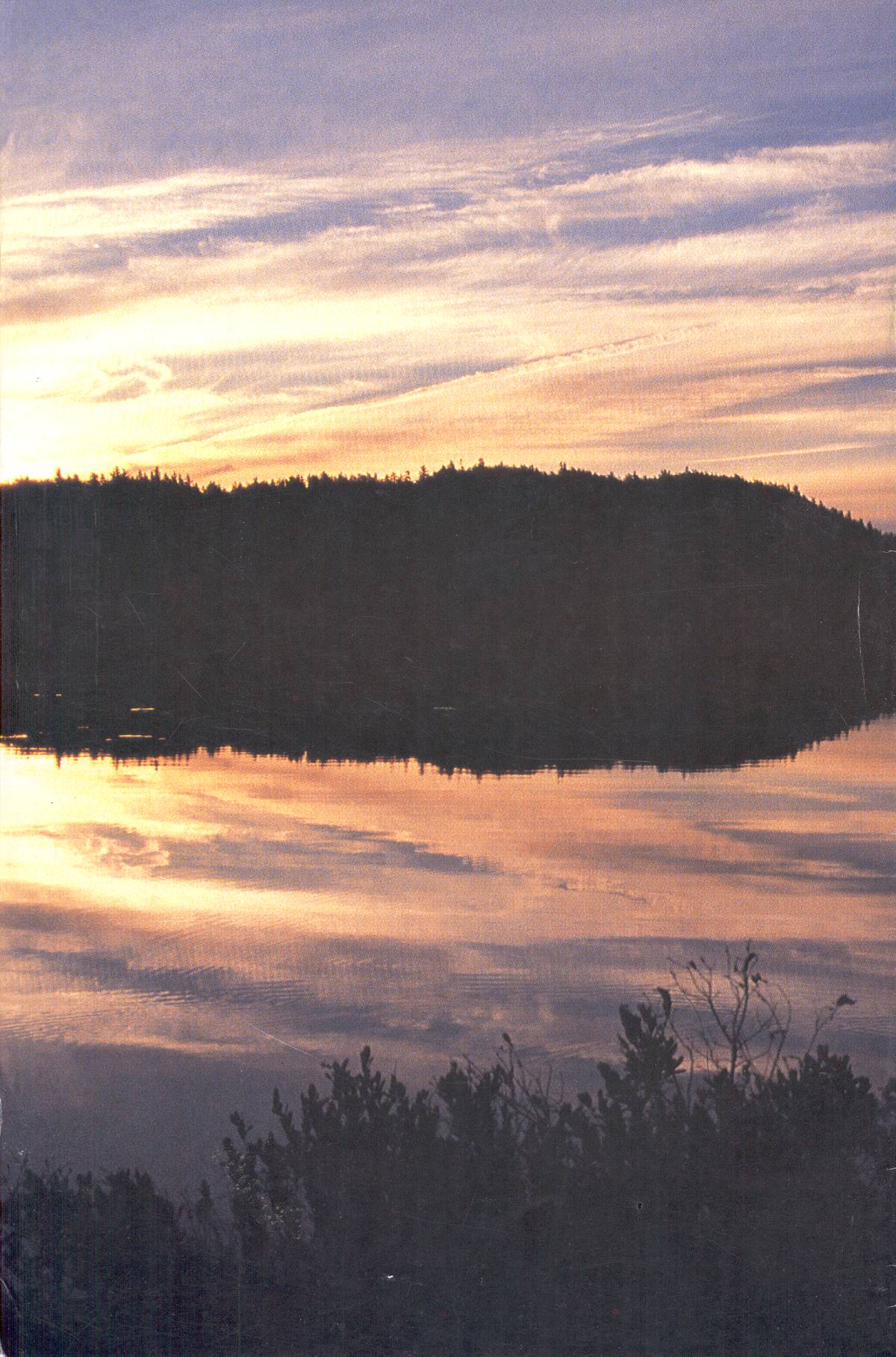 Read online Cerebus comic -  Issue #242 - 28