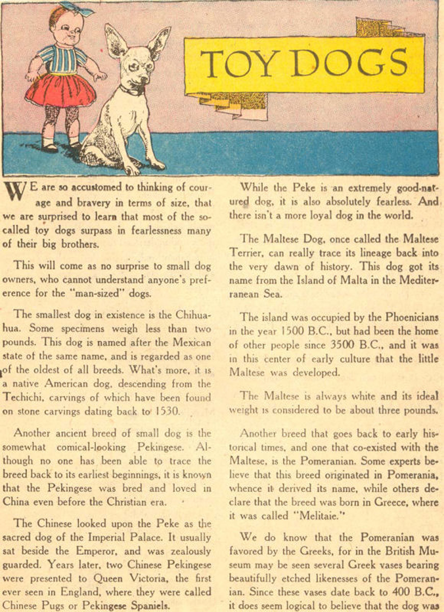 Read online The Adventures of Rex the Wonder Dog comic -  Issue #7 - 23