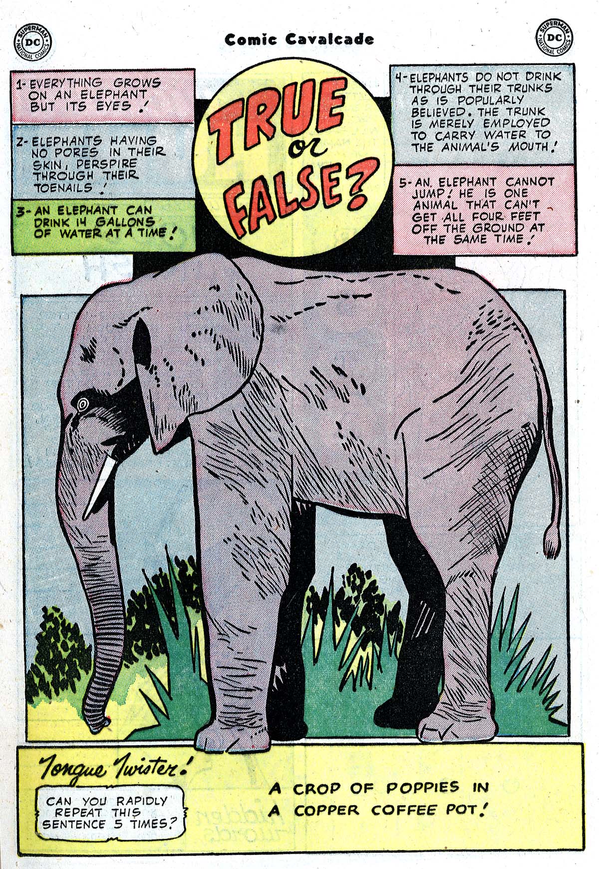Read online Comic Cavalcade comic -  Issue #58 - 36