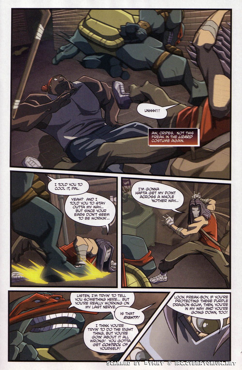 Teenage Mutant Ninja Turtles (2003) Issue #4 #4 - English 13