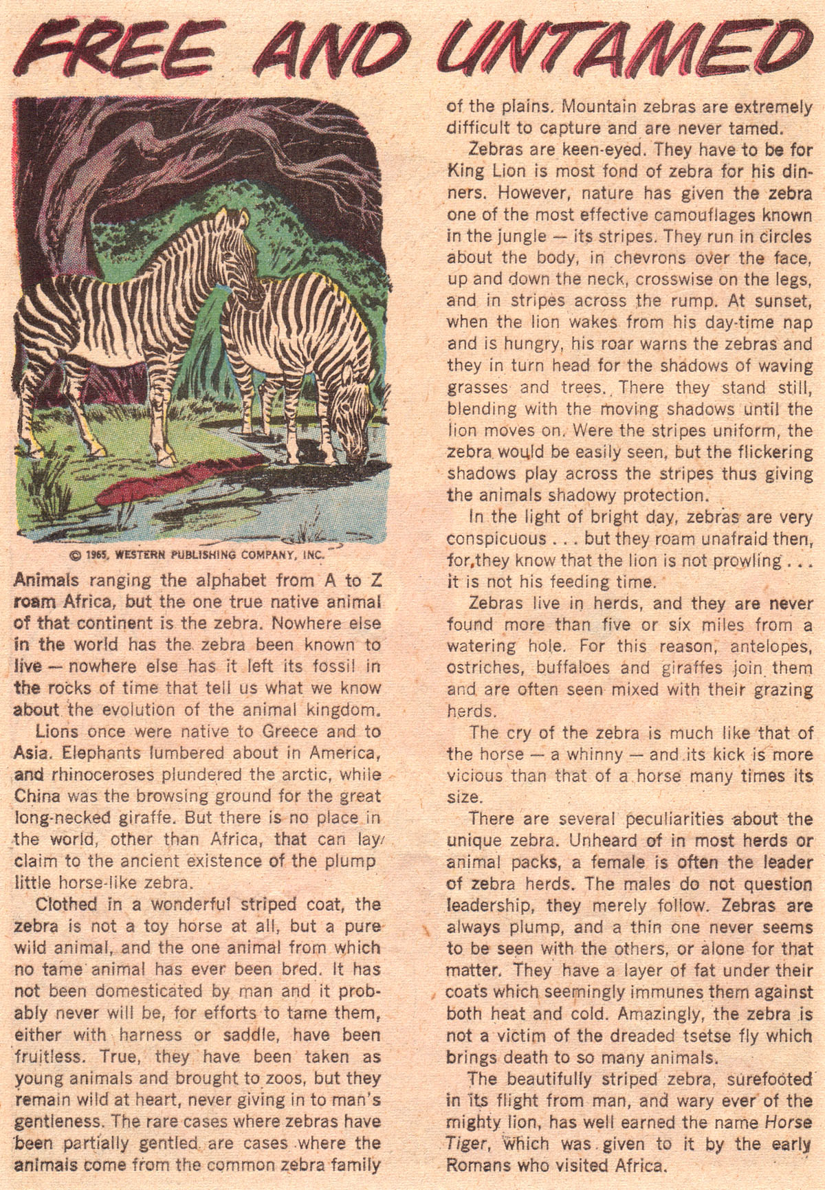Read online Korak, Son of Tarzan (1964) comic -  Issue #36 - 28