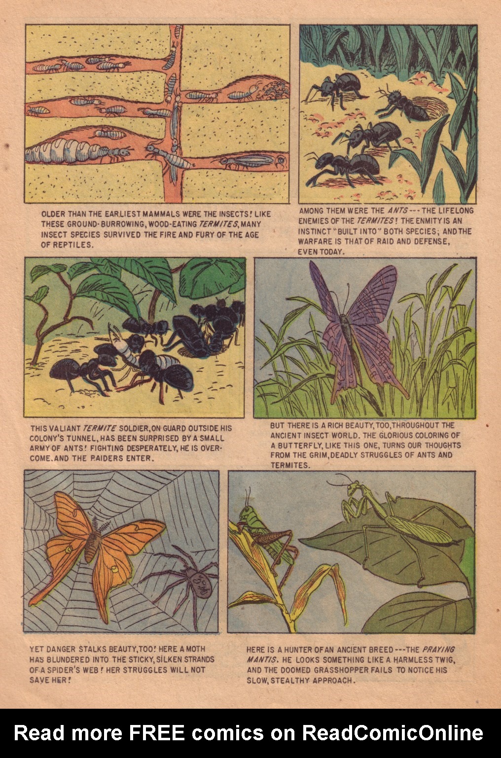 Read online Four Color Comics comic -  Issue #713 - 24