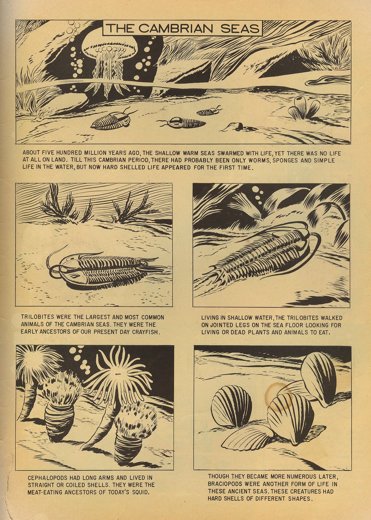 Read online Turok, Son of Stone comic -  Issue #14 - 35