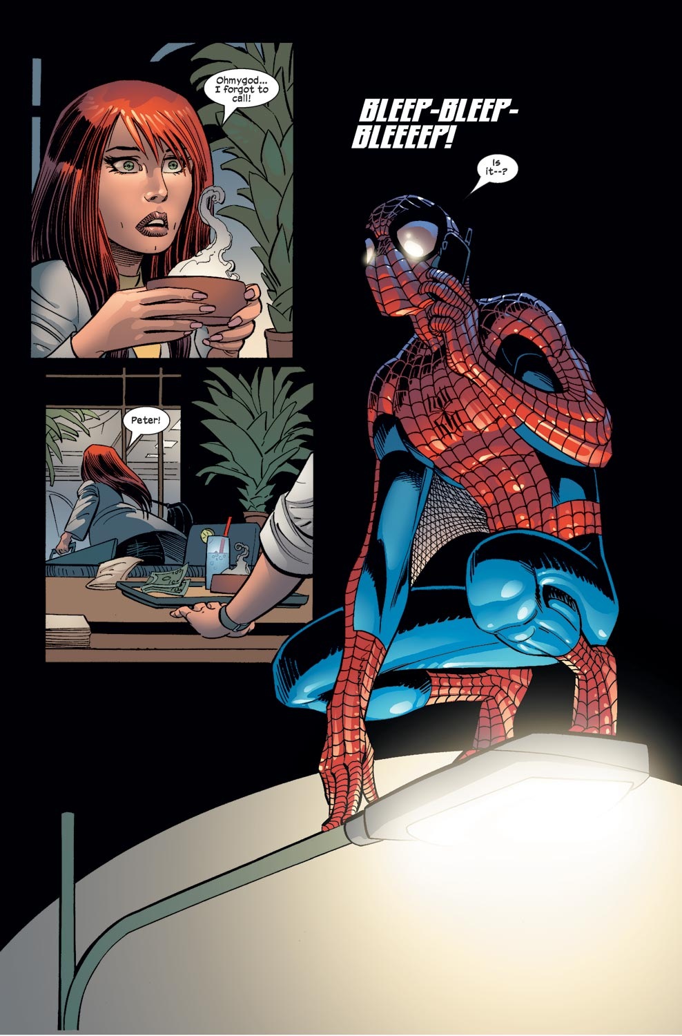 Read online The Amazing Spider-Man (1963) comic -  Issue #505 - 21