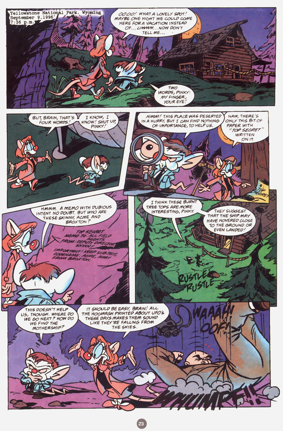 Read online Animaniacs comic -  Issue #19 - 18