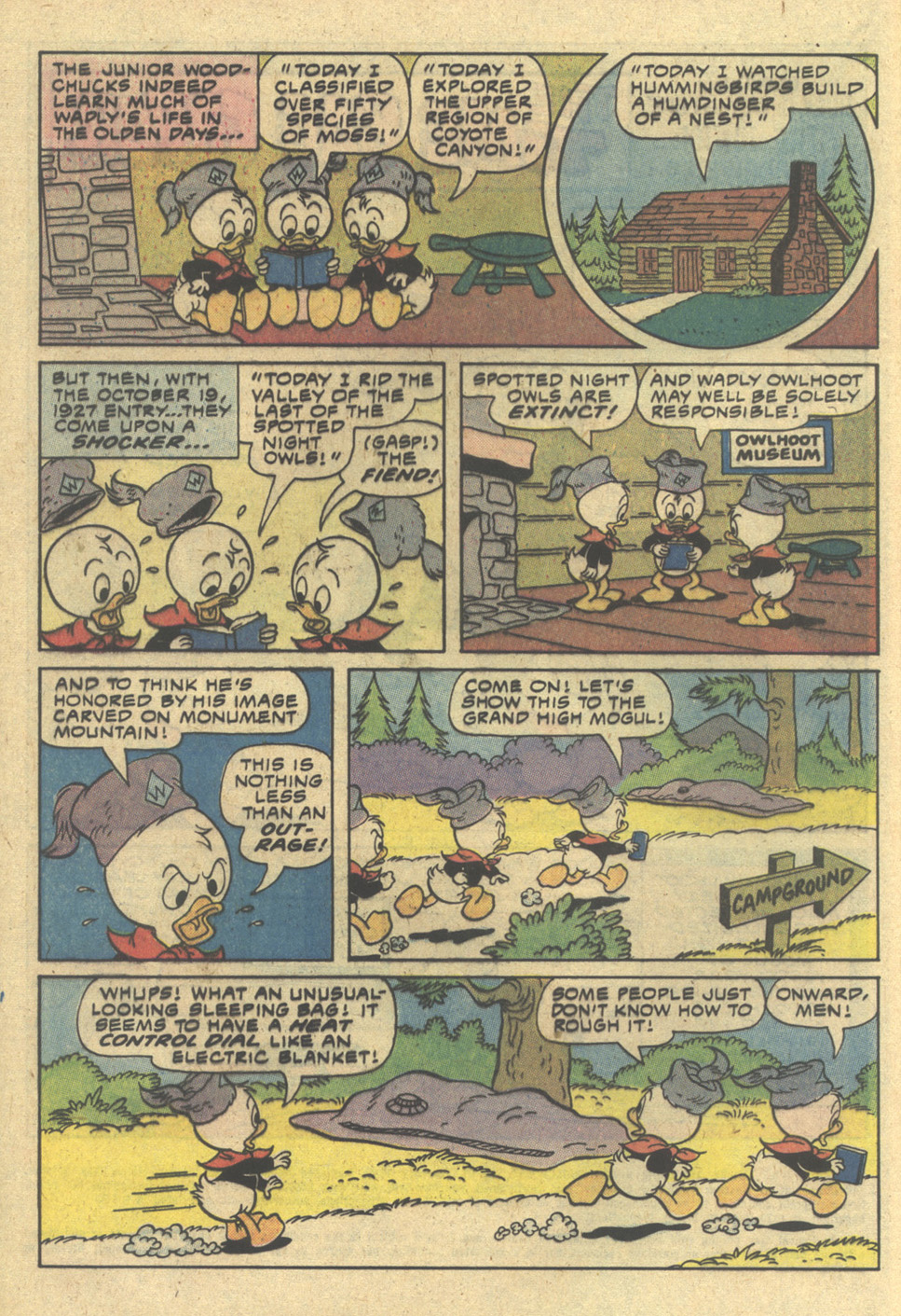 Read online Huey, Dewey, and Louie Junior Woodchucks comic -  Issue #61 - 4