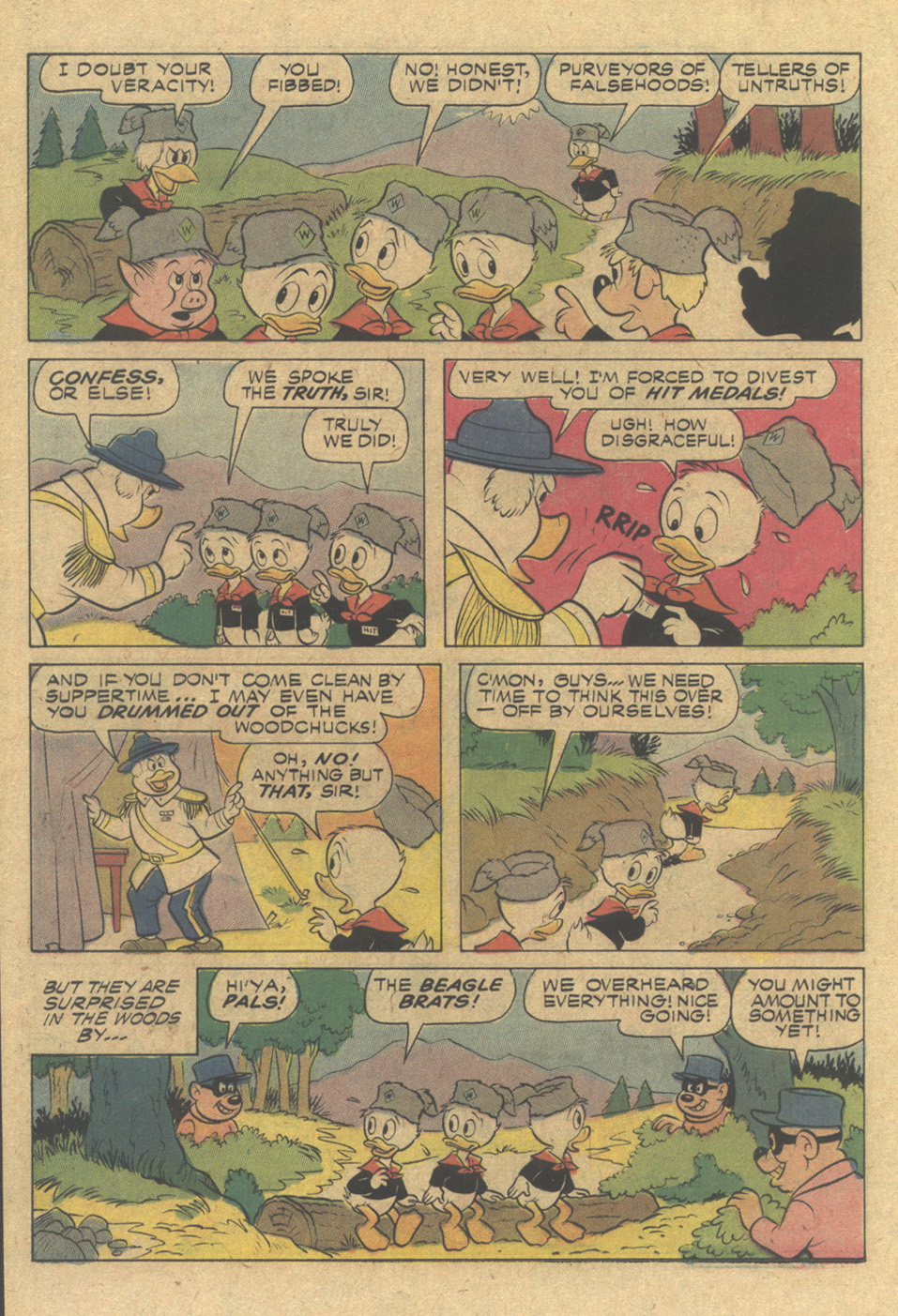 Read online Huey, Dewey, and Louie Junior Woodchucks comic -  Issue #40 - 22