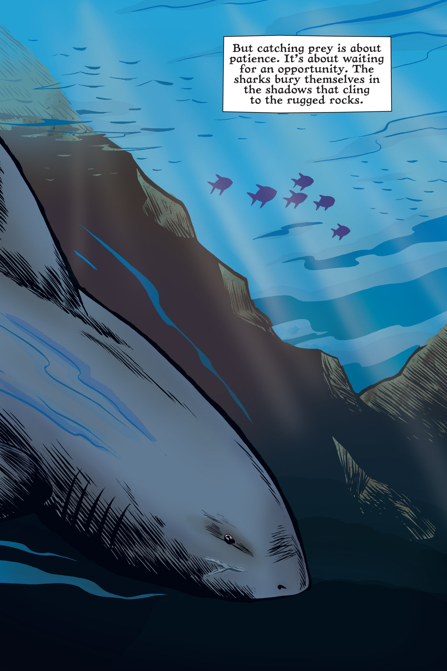 Read online Xoc: Journey of a Great White comic -  Issue # TPB - 14