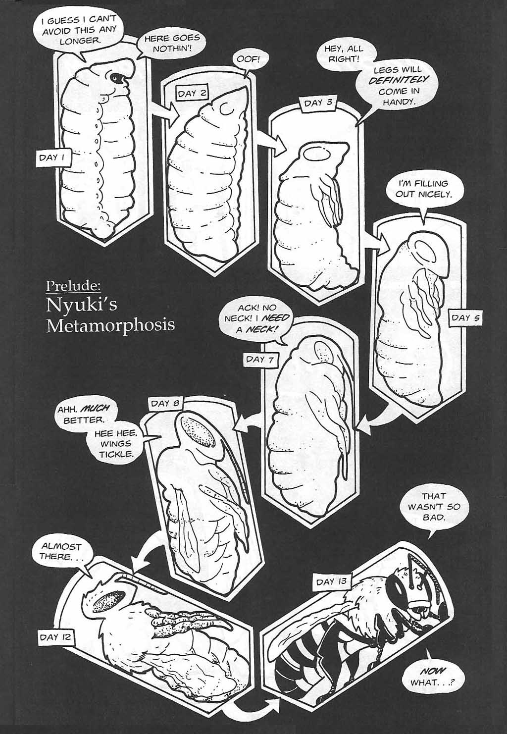 Read online Clan Apis comic -  Issue # TPB (Part 1) - 34