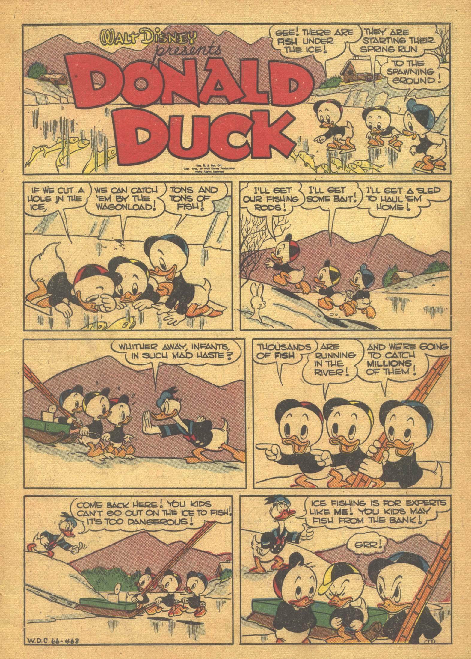 Read online Walt Disney's Comics and Stories comic -  Issue #66 - 3