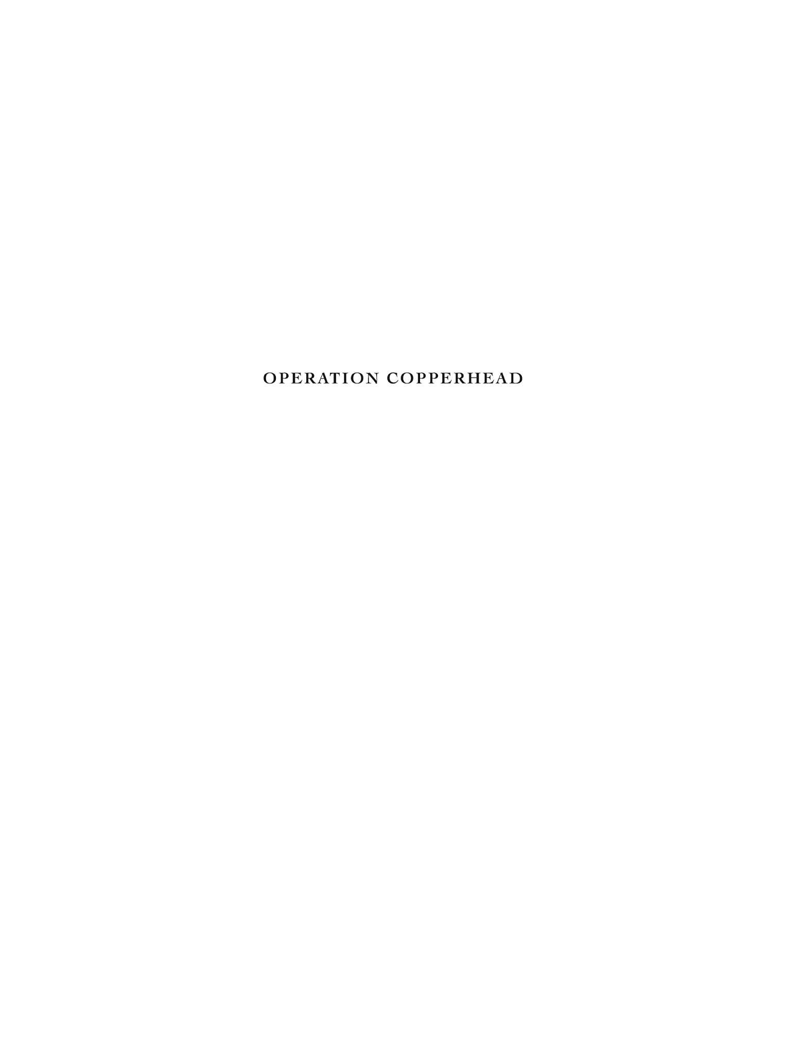 Read online Operation Copperhead comic -  Issue #2 - 2