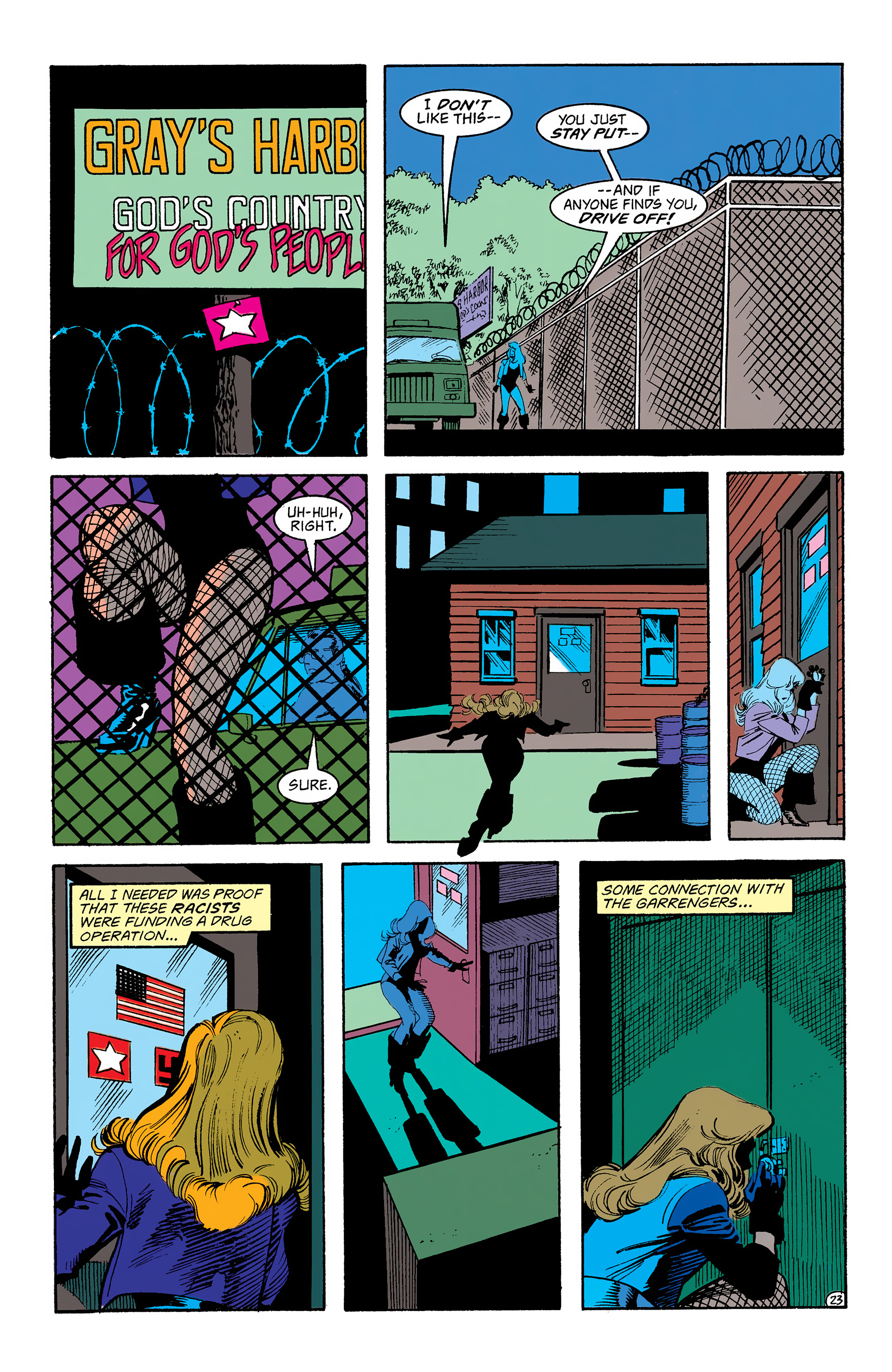 Read online Black Canary (1991) comic -  Issue #3 - 24