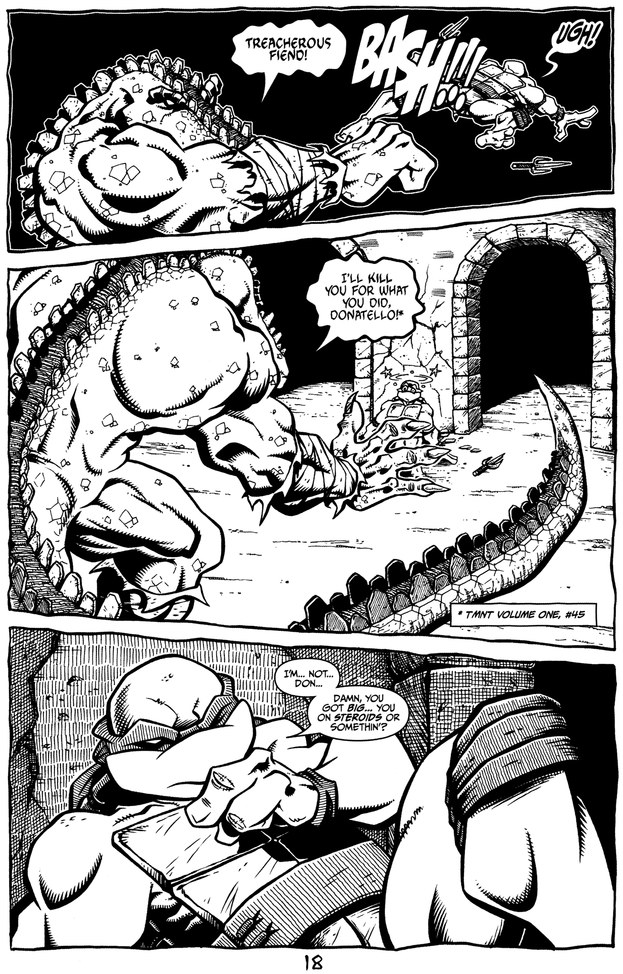 Read online Tales of the TMNT comic -  Issue #8 - 22