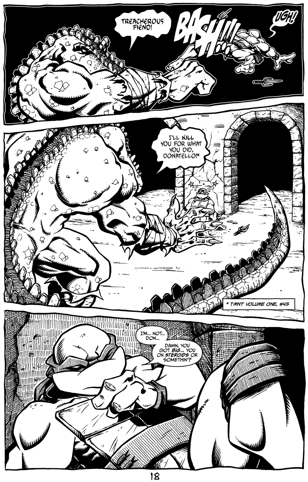 Tales of the TMNT issue 8 - Page 22