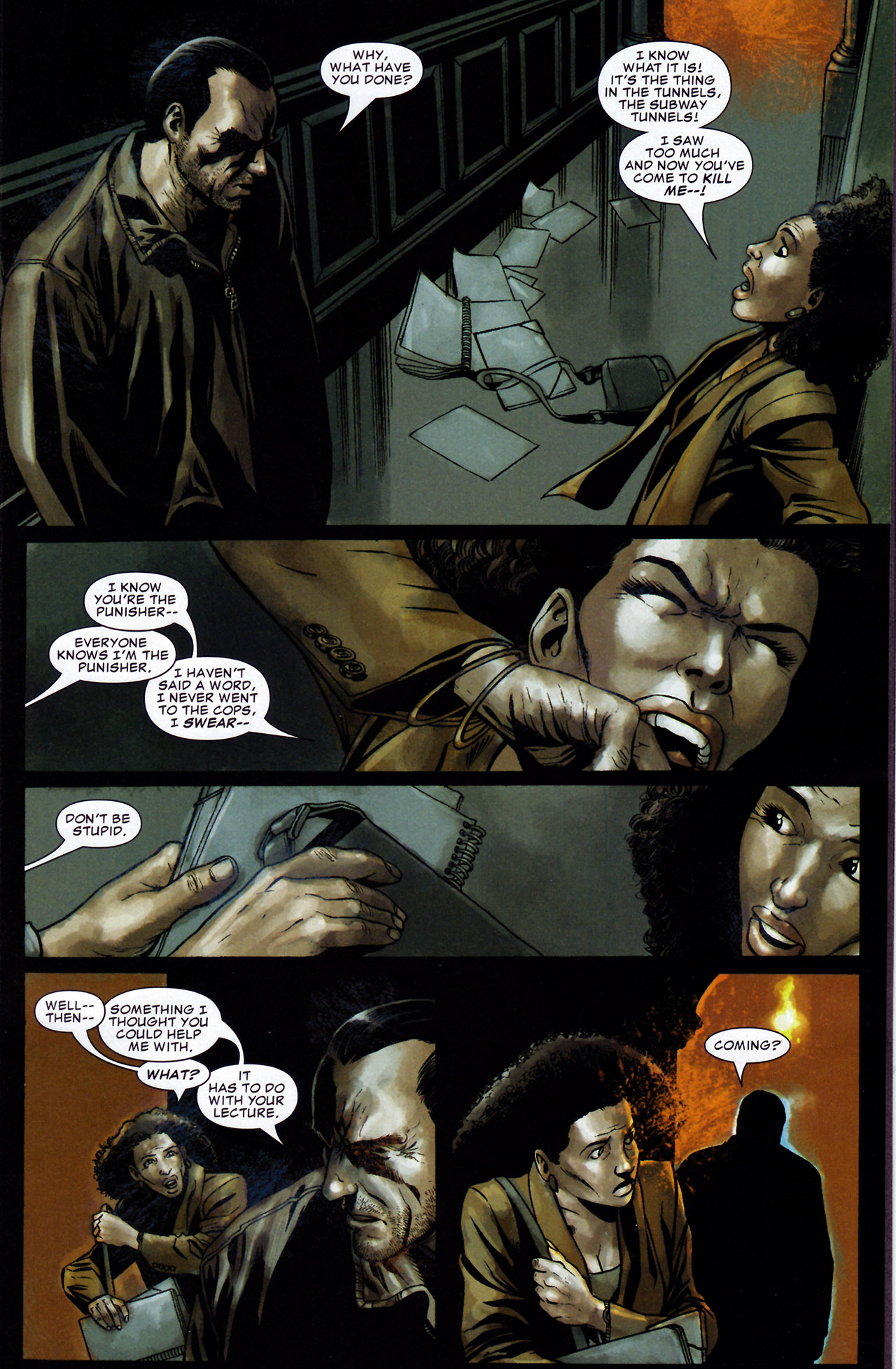 The Punisher (2004) Issue #27 #27 - English 13