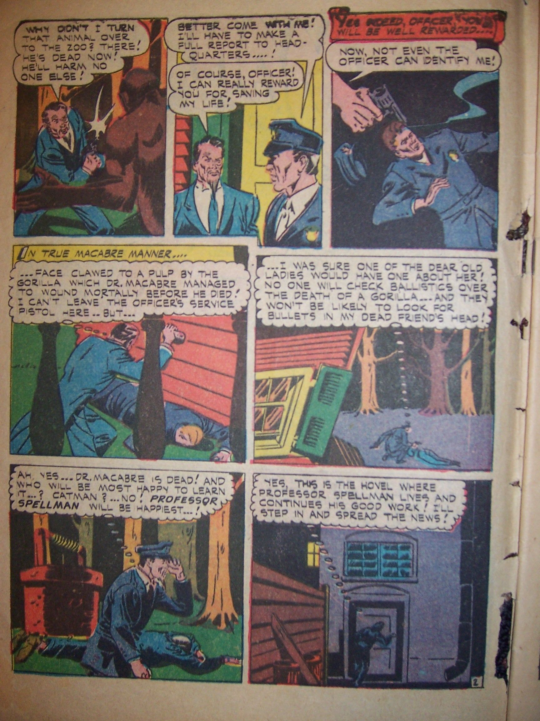 Read online Cat-Man Comics comic -  Issue #31 - 3