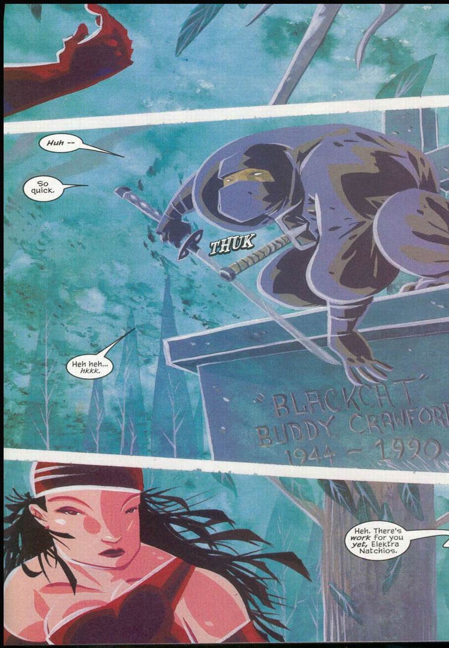 Read online Elektra: Glimpse & Echo comic -  Issue #1 - 9
