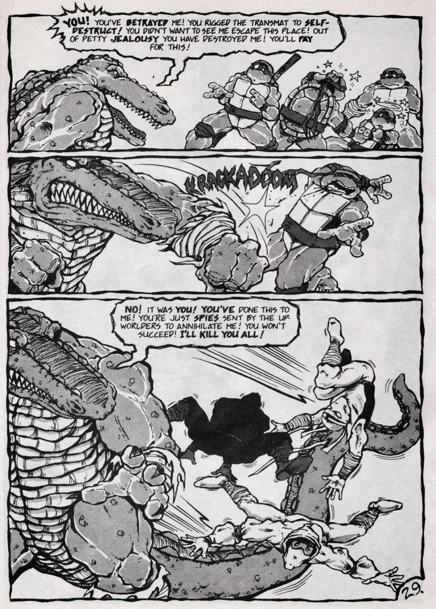 Read online Teenage Mutant Ninja Turtles (1984) comic -  Issue #45 - 26