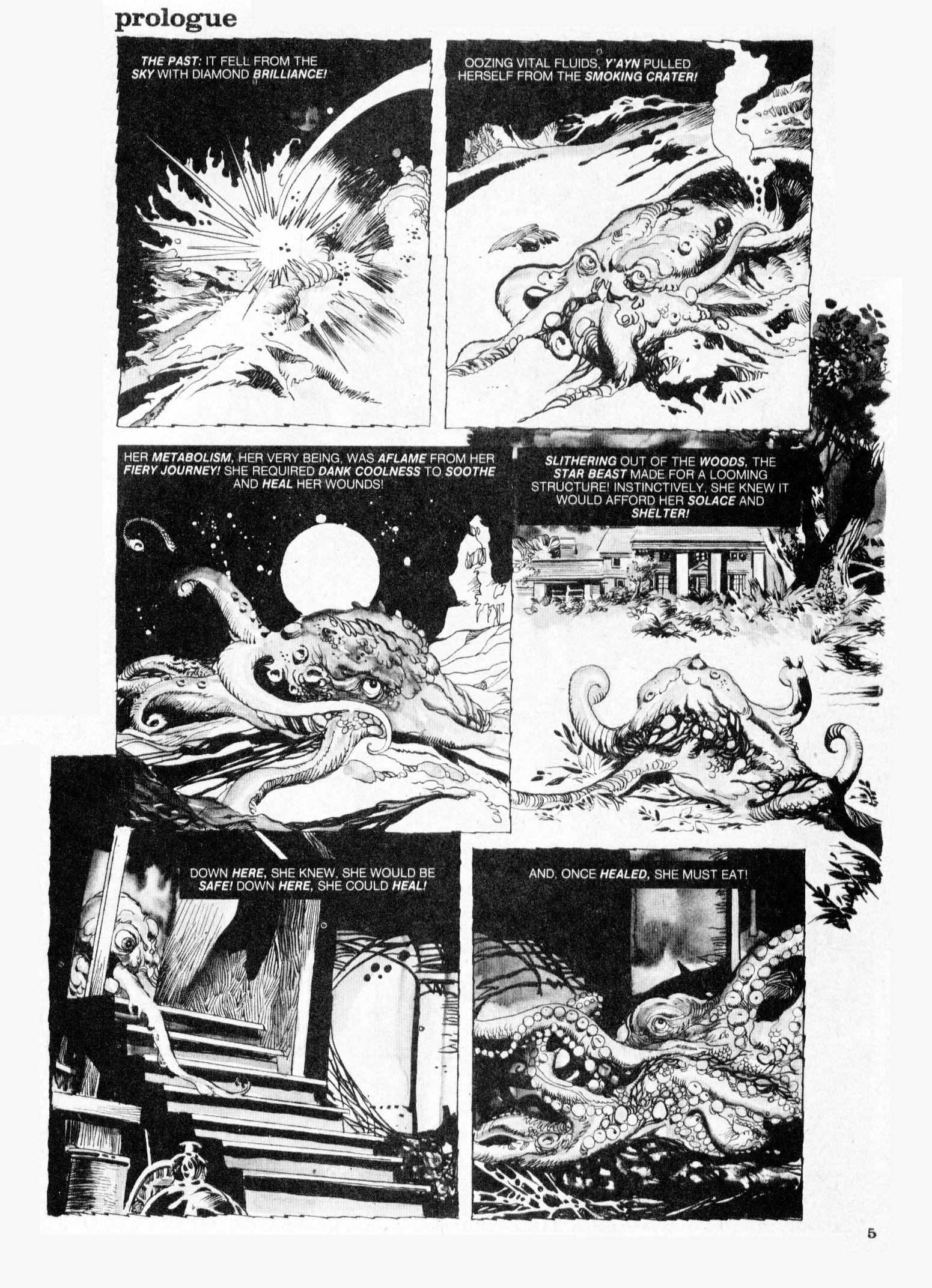 Read online Vampirella (1969) comic -  Issue #101 - 5