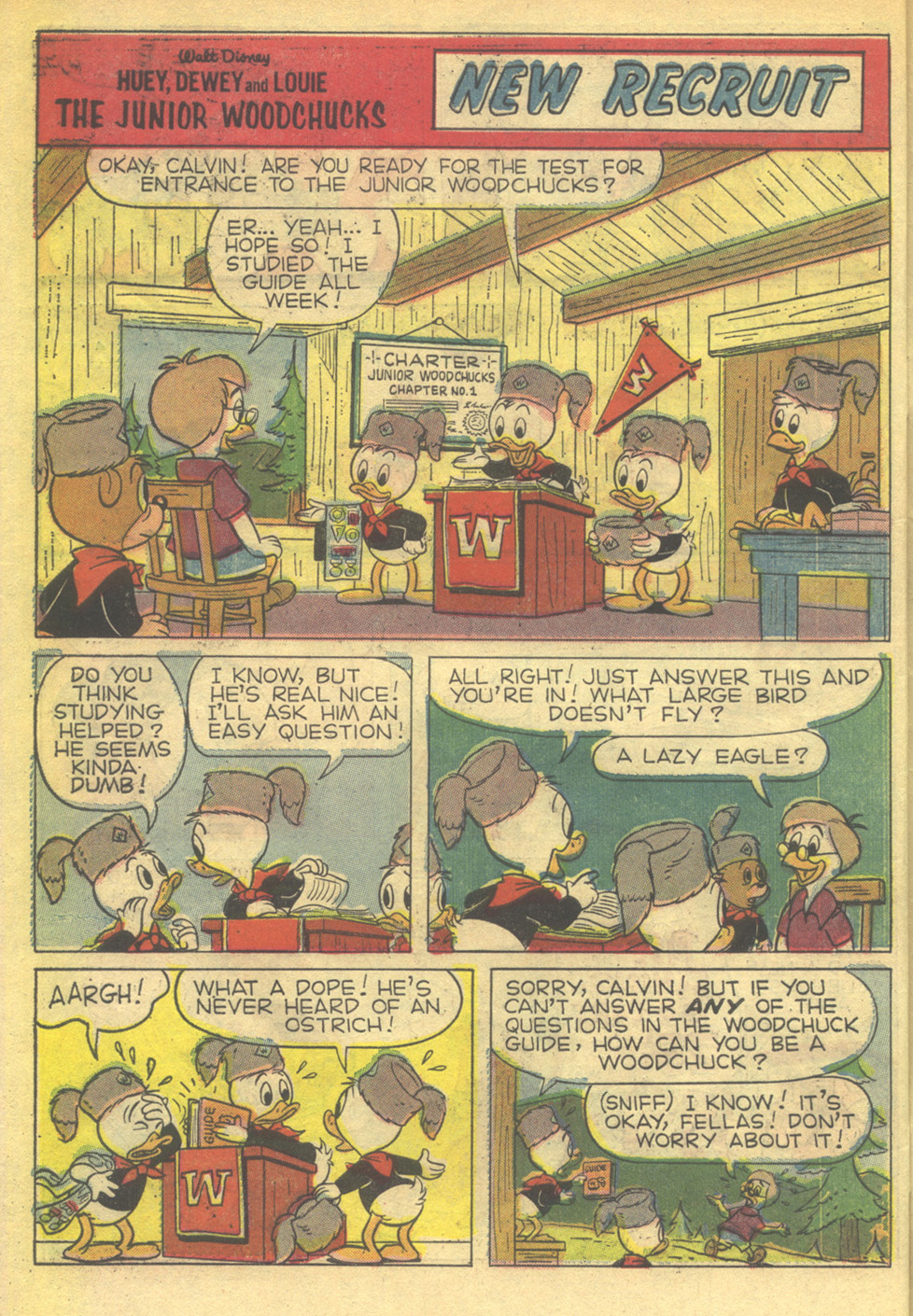 Read online Huey, Dewey, and Louie Junior Woodchucks comic -  Issue #7 - 30