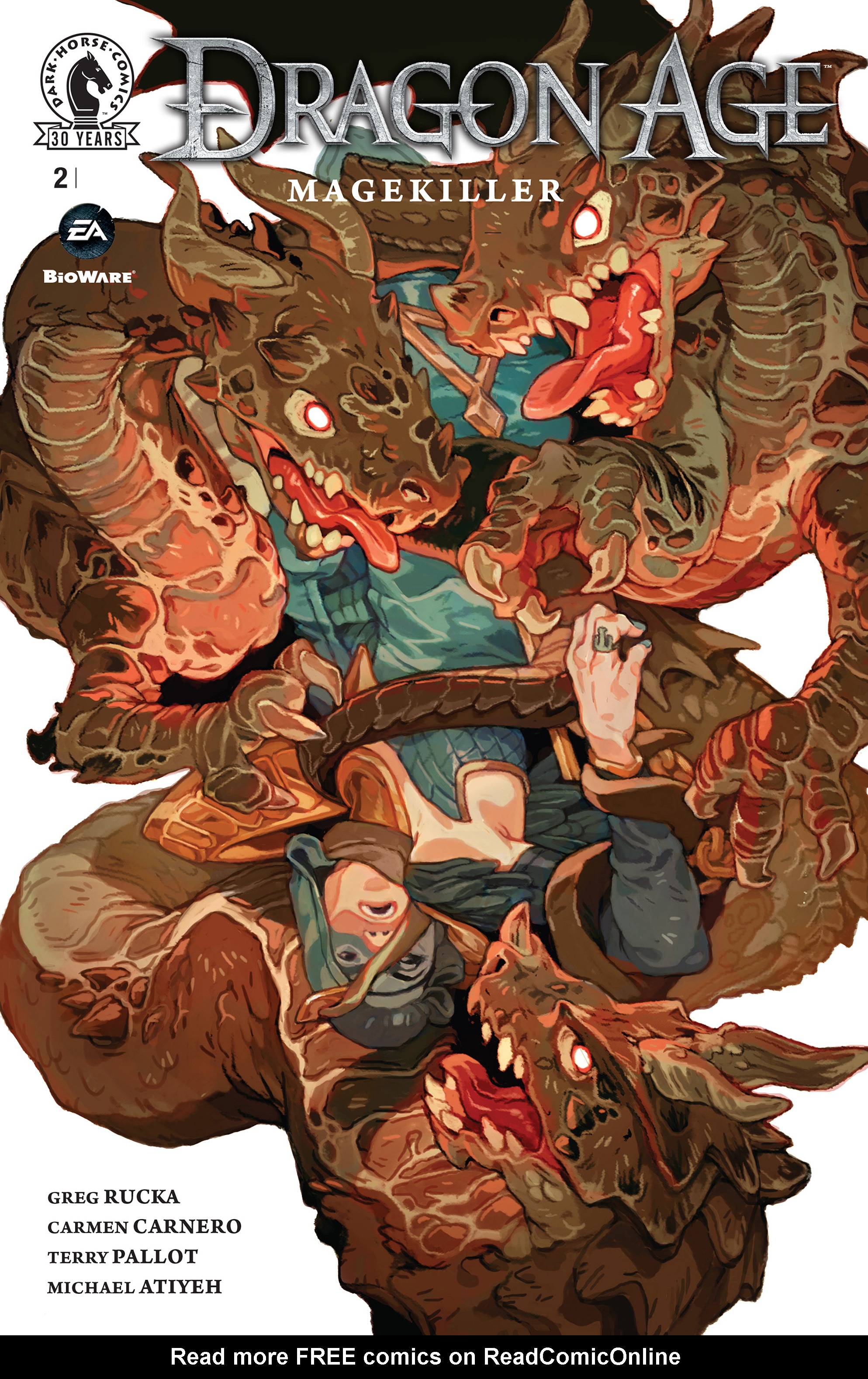 Read online Dragon Age: Magekiller comic -  Issue #2 - 1