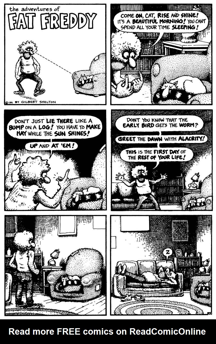 Read online The Fabulous Furry Freak Brothers comic -  Issue #12 - 35