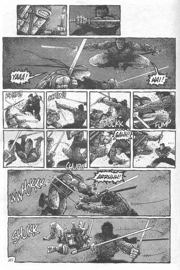 Teenage Mutant Ninja Turtles (1984) Issue #21 #21 - English 23