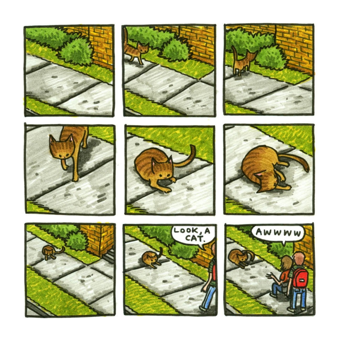 Read online Cats are Weird and More Observations comic -  Issue # TPB - 43