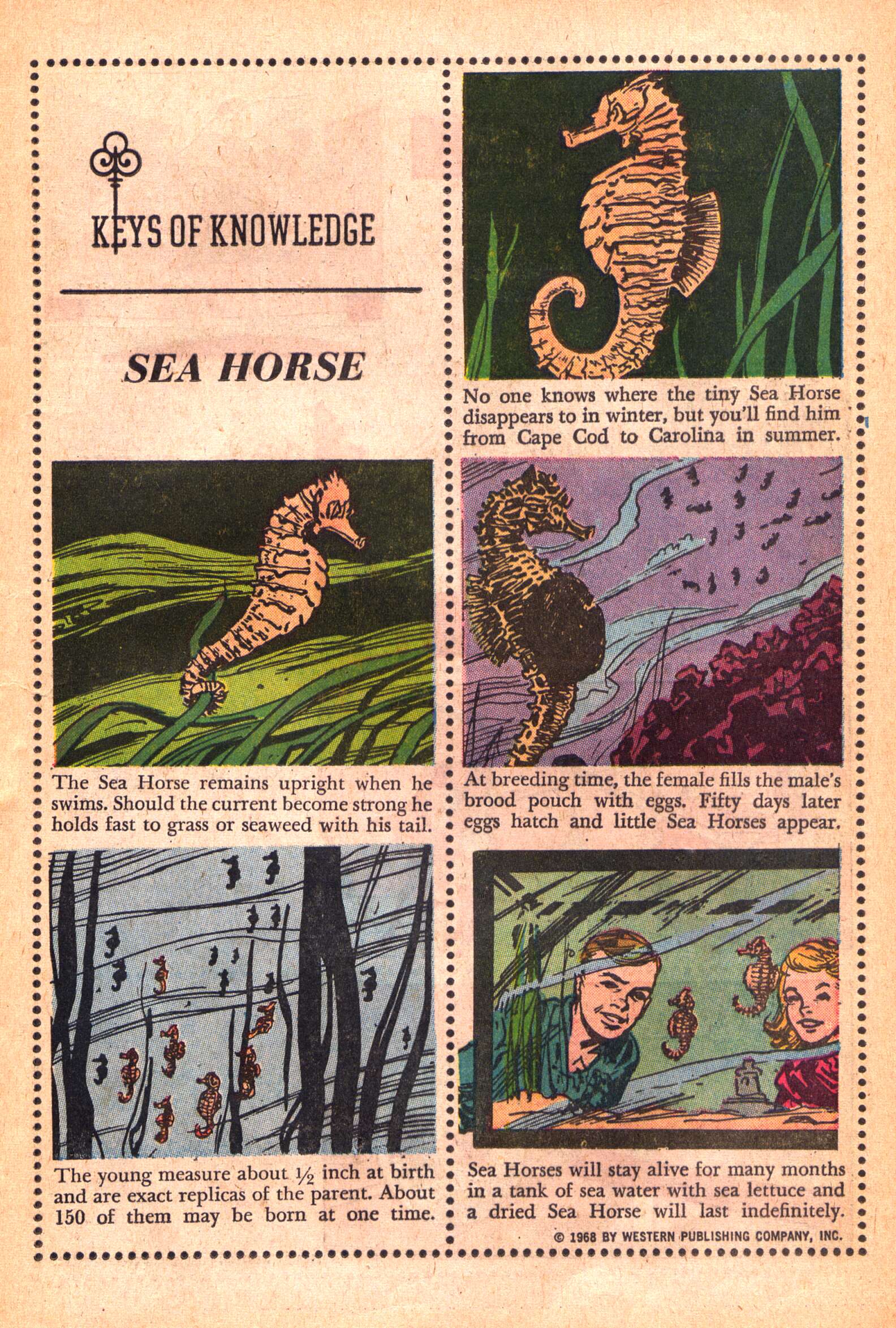 Read online The Avengers (1968) comic -  Issue # Full - 17